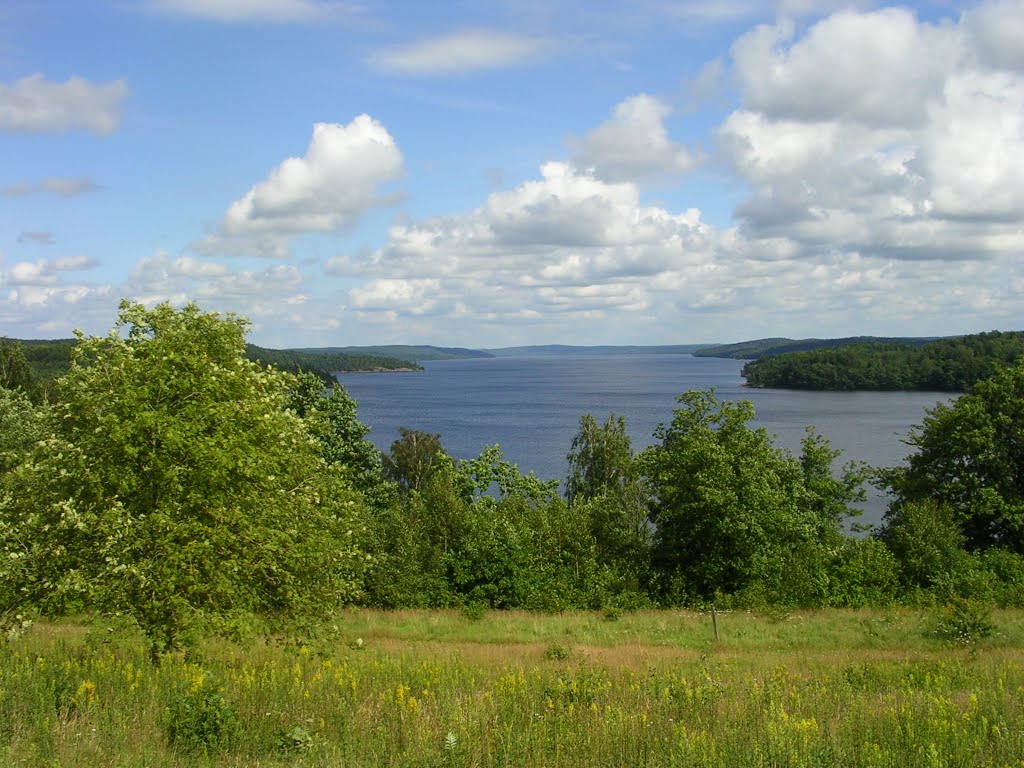 Lygnern